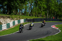 cadwell-no-limits-trackday;cadwell-park;cadwell-park-photographs;cadwell-trackday-photographs;enduro-digital-images;event-digital-images;eventdigitalimages;no-limits-trackdays;peter-wileman-photography;racing-digital-images;trackday-digital-images;trackday-photos